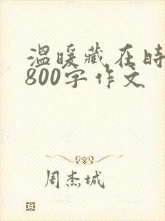 温暖藏在时光里800字作文