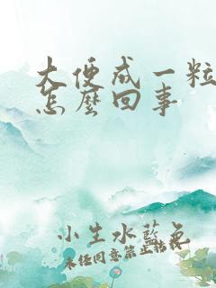 大便成一粒一粒怎么回事