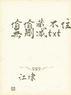 偷偷藏不住番外无删减txt