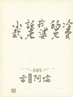 小说我的冷艳总裁老婆免费阅读