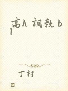 高h 调教 bl