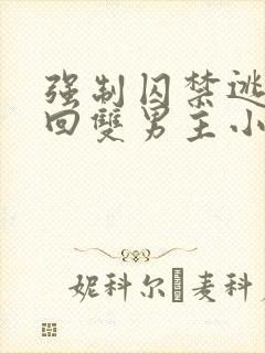 强制囚禁逃跑抓回双男主小说