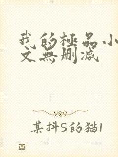 我的极品小姨全文无删减
