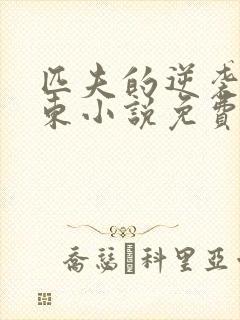 匹夫的逆袭刘汉东小说免费阅读