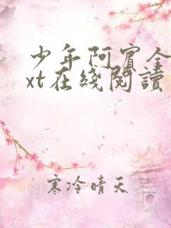 少年阿宾全集txt在线阅读