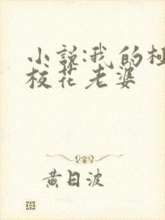 小说:我的极品校花老婆