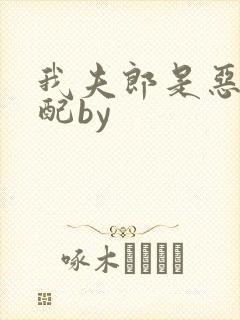 我夫郎是恶毒男配by