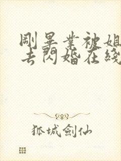 刚毕业被姐姐拉去闪婚在线