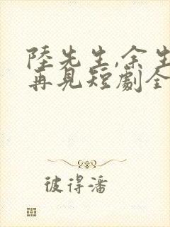 陆先生,余生不再见短剧全集