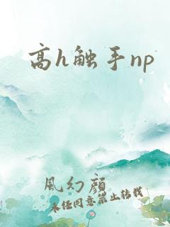高h触手np