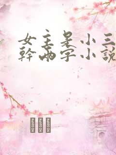 女主是小三的高干两字小说