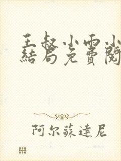 王叔小雨小说大结局免费阅读
