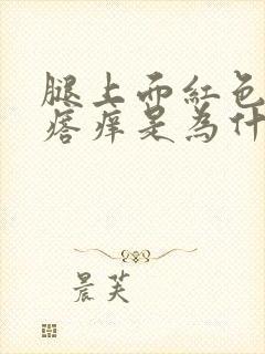 腿上面红色的疙瘩痒是为什么