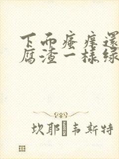 下面瘙痒还有豆腐渣一样绿色的分泌物