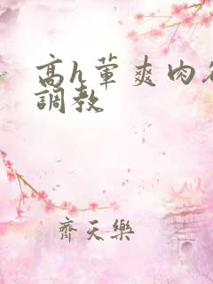 高h荤爽肉欲文调教