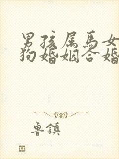 男孩属马女孩属狗婚姻合婚吗