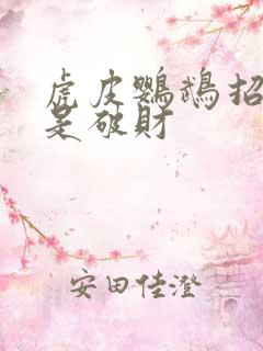 虎皮鹦鹉招财还是破财