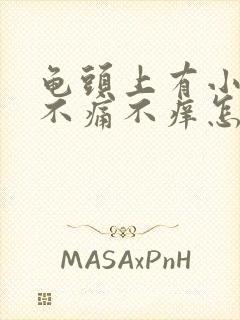 龟头上有小肉粒不痛不痒怎么回事