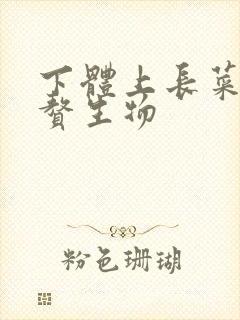 下体上长菜花状赘生物