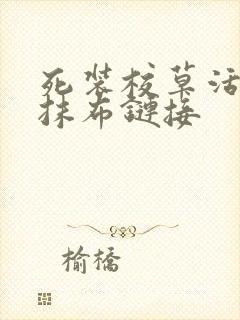 死装校草活该被抹布链接