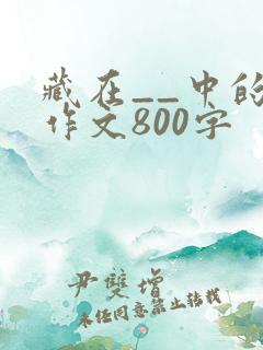 藏在__中的爱作文800字