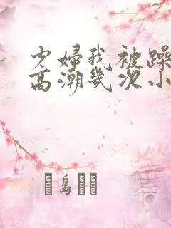 少妇我被躁爽到高潮几次小说