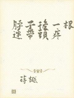 脖子后一根筋疼连带头疼