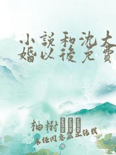 小说和沈大佬订婚以后免费阅读