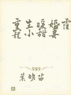 重生暖婚霍总狠宠小甜妻