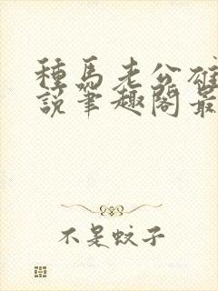 种马老公雄堕小说笔趣阁最新章节