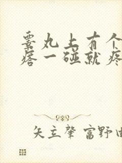 睾丸上有个硬疙瘩一碰就疼