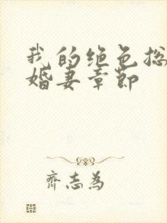 我的绝色总裁未婚妻章节