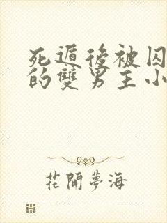 死遁后被囚禁了的双男主小说