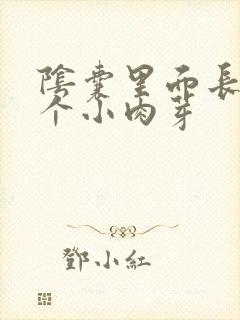 阴囊里面长了一个小肉芽