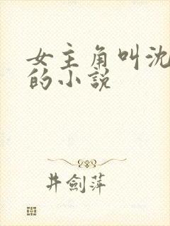 女主角叫沈清梦的小说