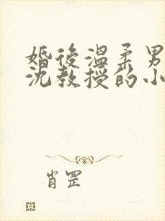 婚后温柔男主叫沈教授的小说