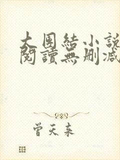 大团结小说在线阅读无删减