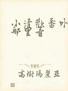 小清欢番外篇在哪里看