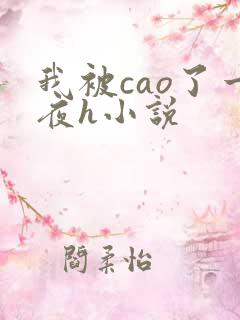 我被cao了一夜h小说