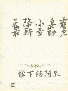 天降小妻霸道宠最新章节免费阅读