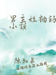 男主姓柏的总裁小说