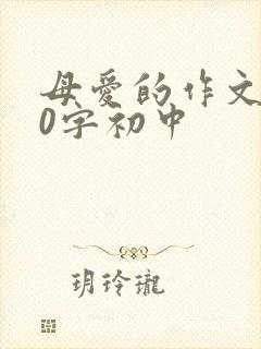 母爱的作文800字初中