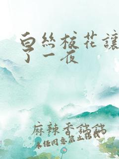 白丝校花让我爽了一夜