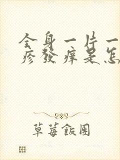 全身一片一片红疹发痒是怎么回事