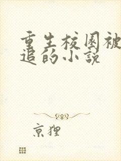 重生校园被校花追的小说