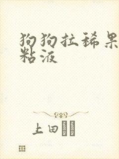 狗狗拉稀果冻状粘液