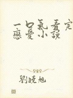 一口气看完甜文恋爱小说