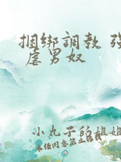 捆绑调教 强制 虐男奴