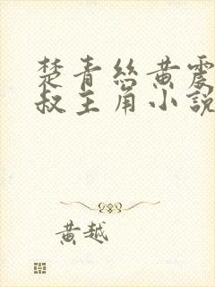 楚青丝黄震和陈叔主角小说免费阅读