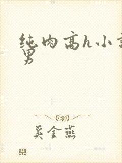 纯肉高h小说男男